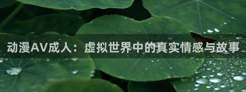 里番风车动漫：动漫AV成人：虚拟世界中的真实情感与故事