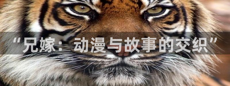 日本旧里番动漫：“兄嫁：动漫与故事的交织”