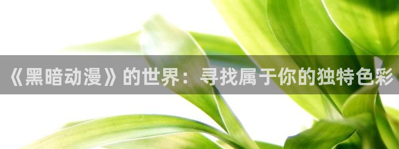 漫画acg里番：《黑暗动漫》的世界：寻找属于你的独特色彩