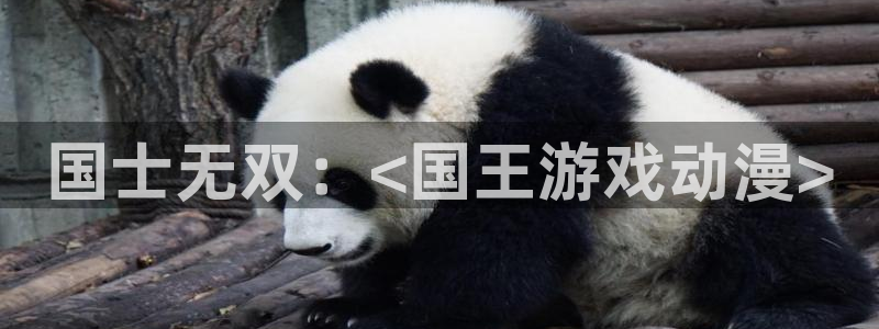 里番动漫在线看免费观看：国士无双：<国王游戏动漫>