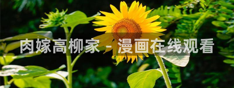 雷火剑里番动漫：肉嫁高柳家 - 漫画在线观看
