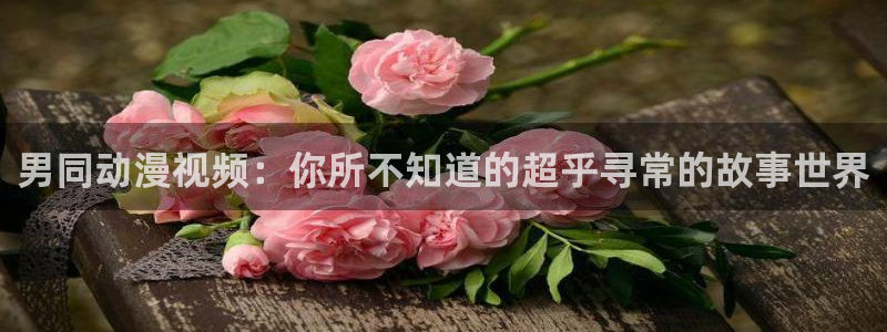 里番有哪些动漫：男同动漫视频：你所不知道的超乎寻常的故事世界