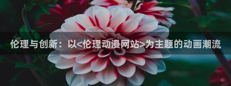 里番漫画h：伦理与创新：以<伦理动漫网站>为主题的动画潮流