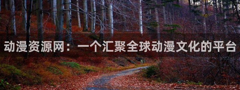 里番动漫h：动漫资源网：一个汇聚全球动漫文化的平台