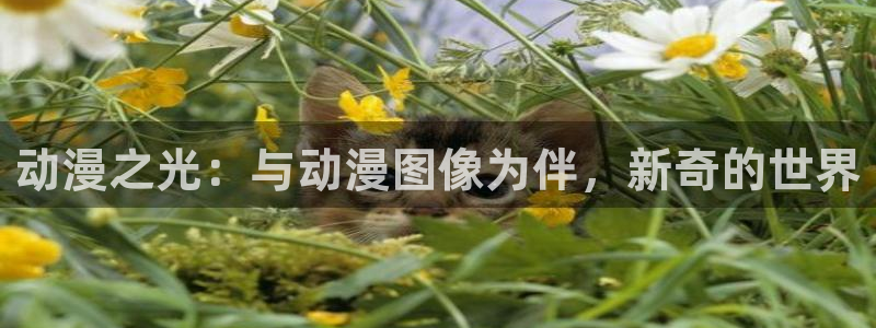 动漫电影里番：动漫之光：与动漫图像为伴，新奇的世界