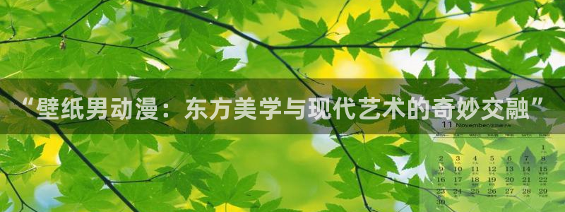 新番里番动漫：“壁纸男动漫：东方美学与现代艺术的奇妙交融”