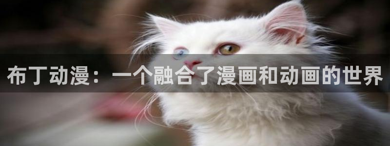 在线观看里番动漫：布丁动漫：一个融合了漫画和动画的世界