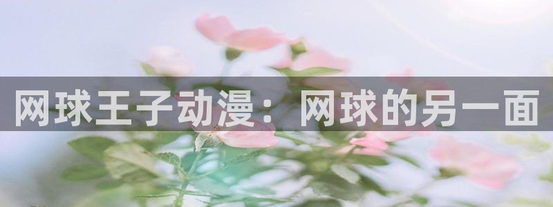 日本里番漫画在线观看：网球王子动漫：网球的另一面